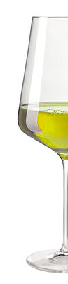 vin-blanc-haut-poitou-aoc-2 vin-blanc-haut-poitou-aoc-2